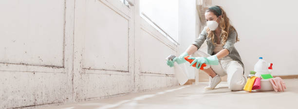 Best Biohazard Mold Removal  in Rhome, TX